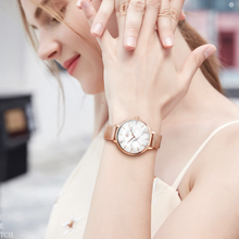 Load image into Gallery viewer, Horaire Collection